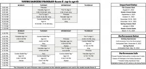 YOUNG DANCERS PROGRAM